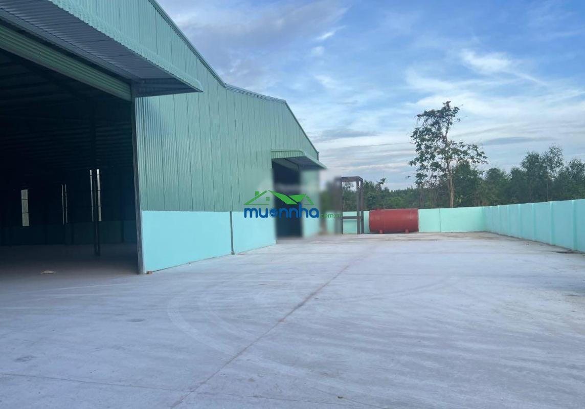 Cho thuê kho xưởng 3000m2 thuận giao - thuận an
