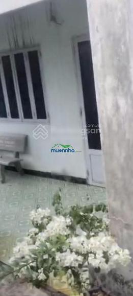 Bán nhà 1/ hà duy phiên vào 70m, tổng khuôn viên 1100m2 có nhà cấp 4 và vườn cây ăn trái - 3
