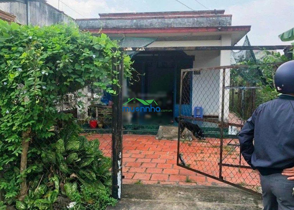 Tôi bán gấp căn nhà 105m2 giá 950tr đường nguyễn thị ni xã phước hiệp củ chi sổ hồng riêng - 2