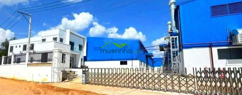 Cho thuê nhà xưởng tại vĩnh tân, tân uyên, bình dương - 2
