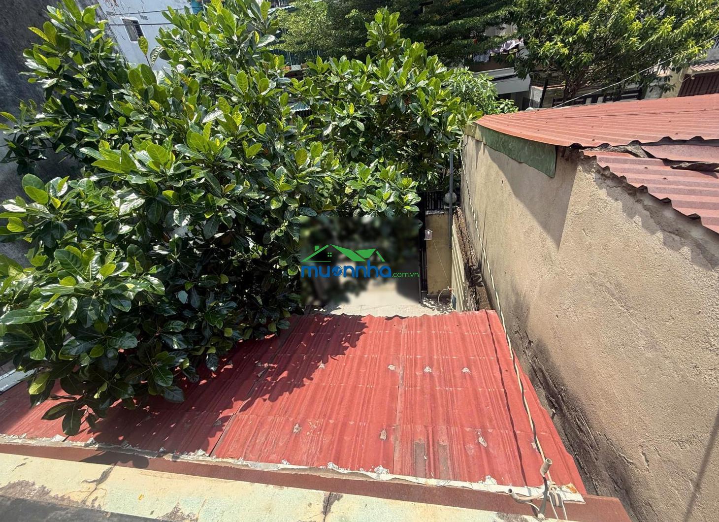 Chính chủ bán nhà vườn 80m2 dương quảng hàm, đường 8m thông kinh doanh chỉ 9.x tỷ