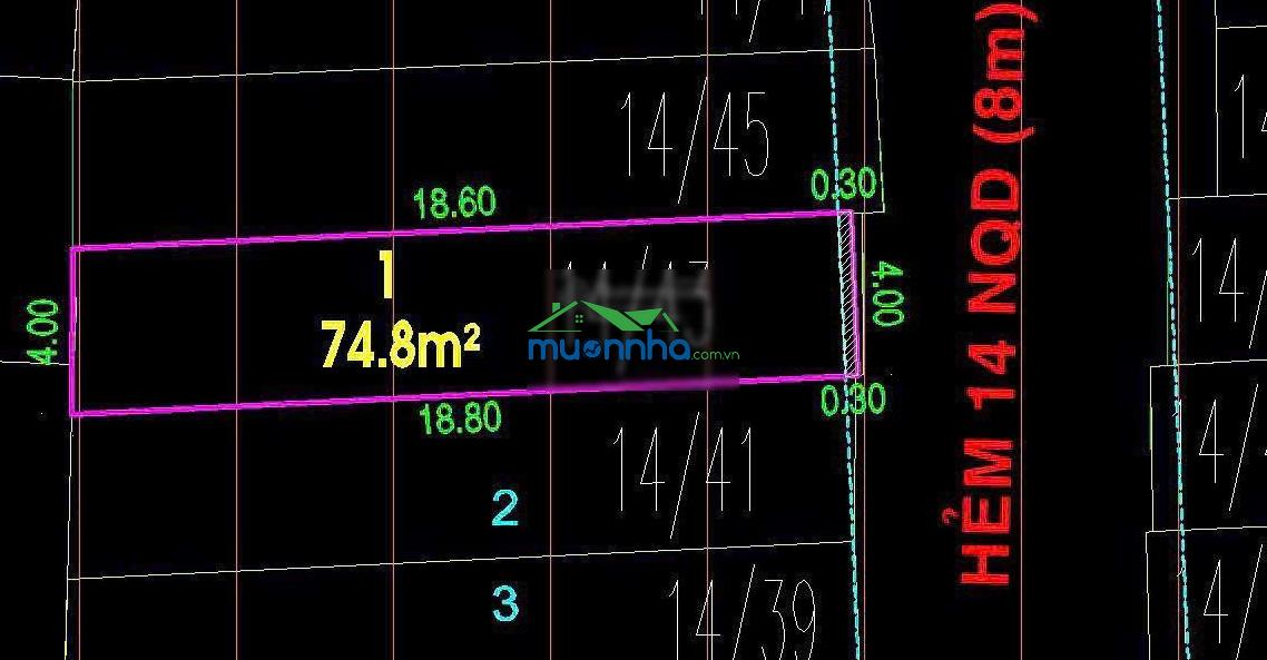 Bán nhà hẻm 8m nguyễn quang diêu, tân phú, 4x19m, tiện xây mới, giá 6.65 tỷ - 4