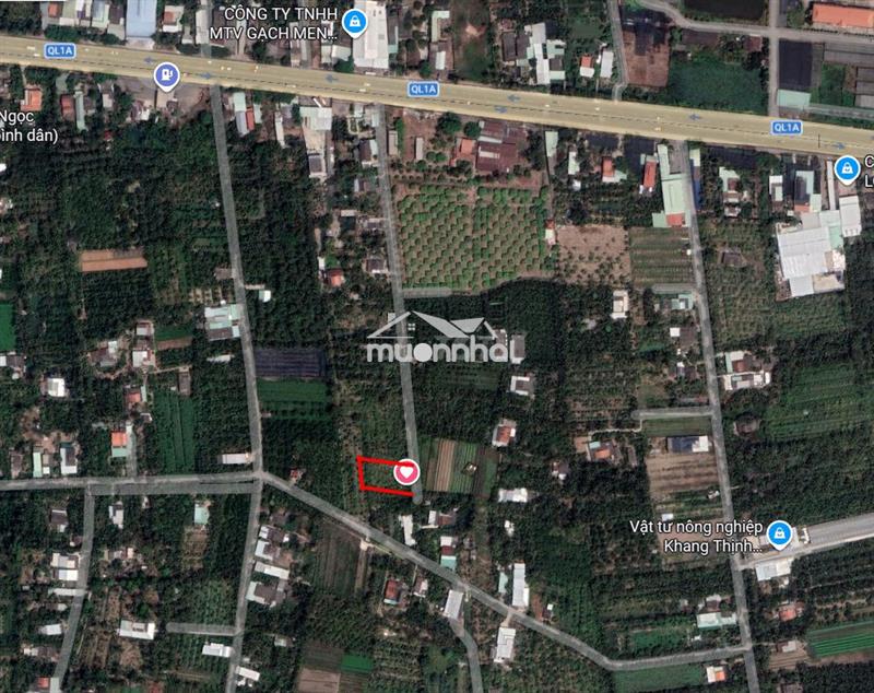 Bán lô đất cln 545m² ngay ql1a xã long hưng, đồng tháp (tiền giang cũ)