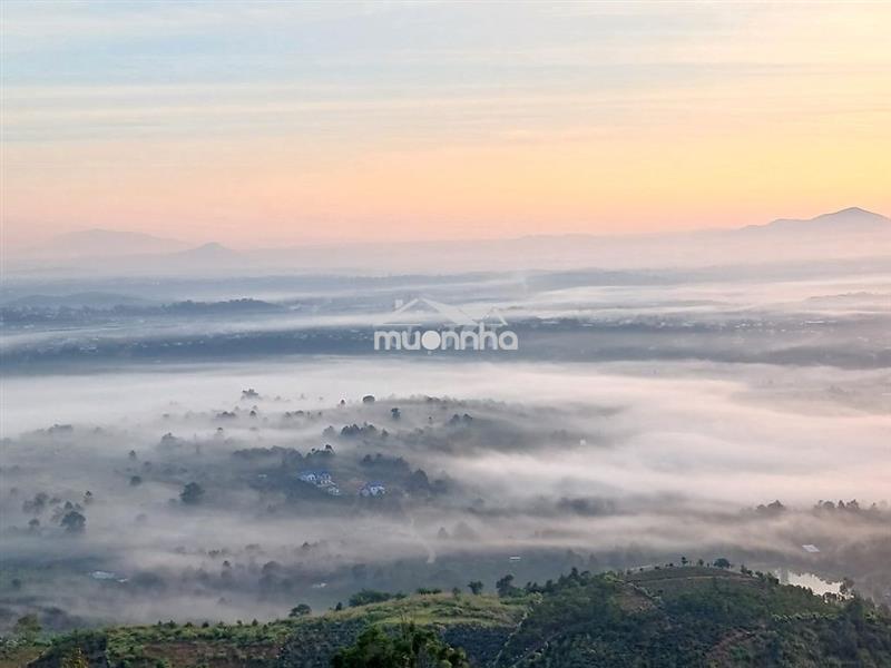 Đất săn mây, giáp homestay & cafe đại bình núi - tuấn đình.