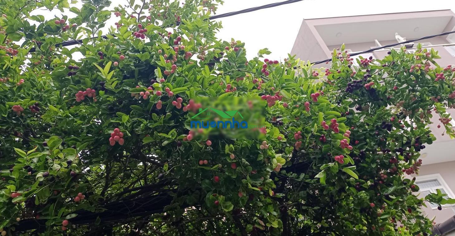 Xe hơi ngủ trong nhà, 5 tầng, 4 pn. nhà chính chủ nội thất cao cấp, gần cvi làng làng. chủ gấp bán - 3