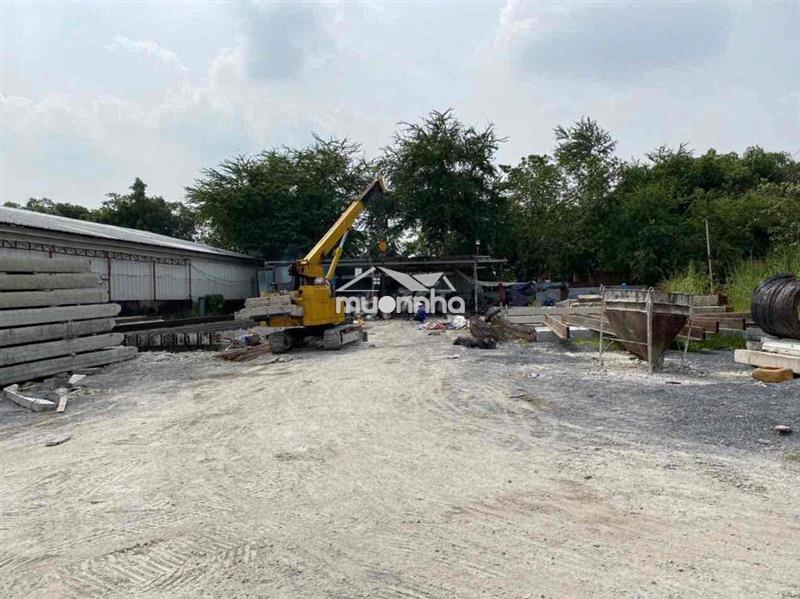 Cho thuê mặt bằng (như hình) dt:1.200m2 - giá:12 triệu/tháng có điện