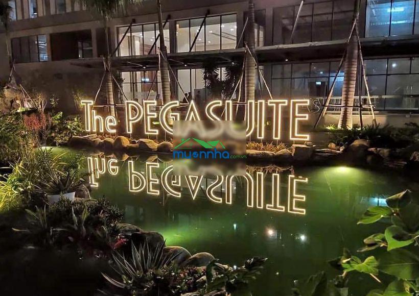 Đẳng cấp cc pegasuite, giá ưu đãi 9,8 triệu, 70m2, 2pn, 2wc, ngay tạ quang bửu q8 - 2