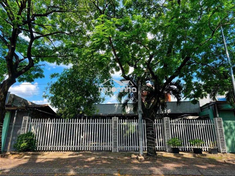 Cho thuê mặt bằng phú thọ, thủ dầu một - diện tích : 14x45 (660m2) c
