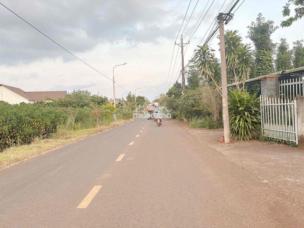 Mt xuân đông - xuân tây, cẩm mỹ, đồng nai - 2