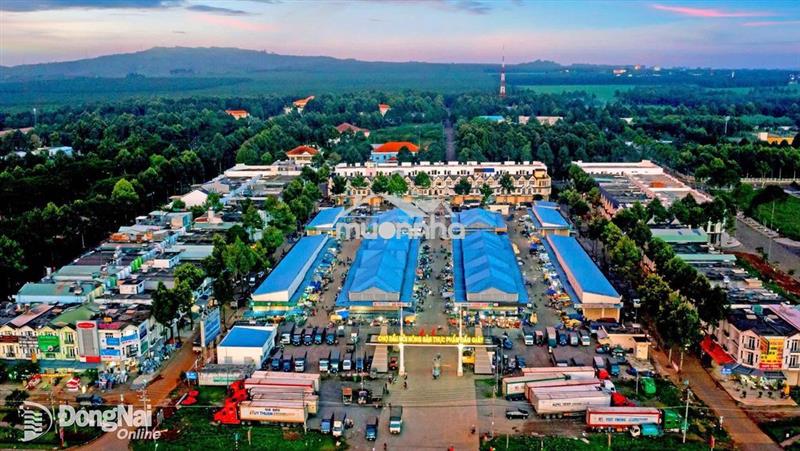 Đón sóng tp đồng nai, phường dầu giây - đất nền trung tâm chỉ 775tr
