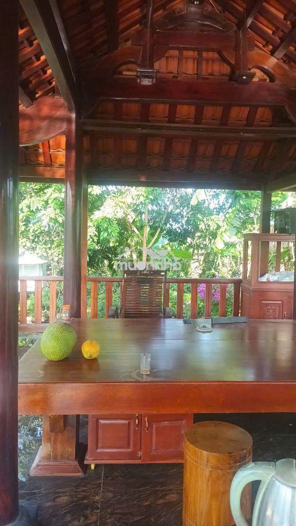 Đất nền thổ cư trên đường sông thao, đồng nai, diện tích 4845m², 10 tỷ - 4