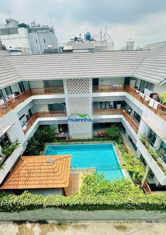 Hxh thông tân hương, ngang khủng 6m nở hậu tài lộc - - 3
