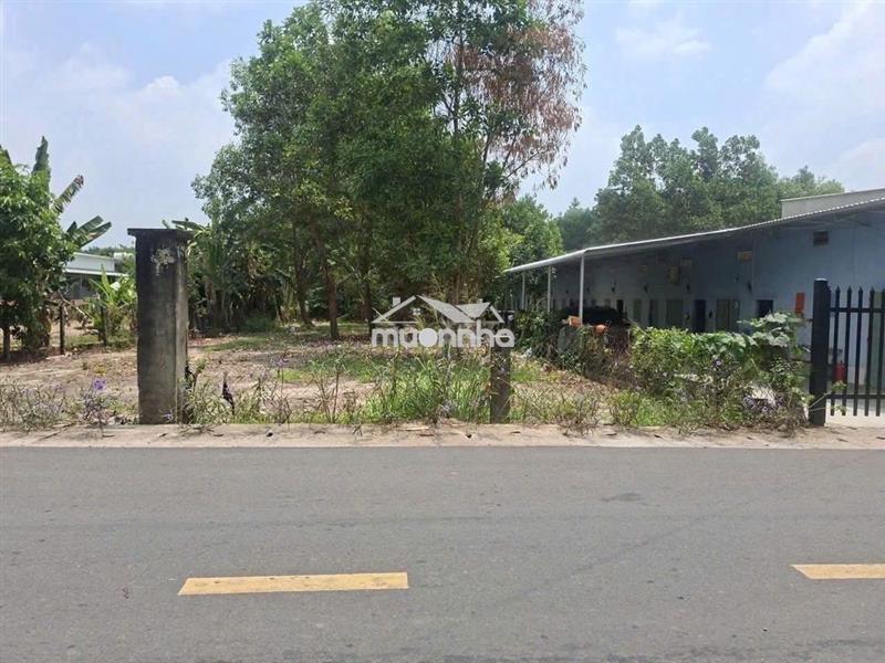 Đất đẹp đầu tư sinh lời 250m2 giá chỉ 550 triệu trừ văn thố bàu bàng 