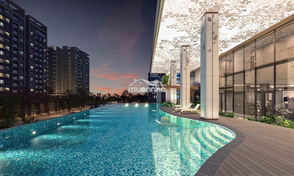 🔥Sắp mở bán  the aristo phú mỹ hưng - 120-150 triệu/ m2 - 3