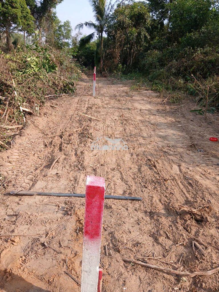 🔥 Siêu phẩm đất phú quốc — đầu tư sinh lời cực mạnh - 2