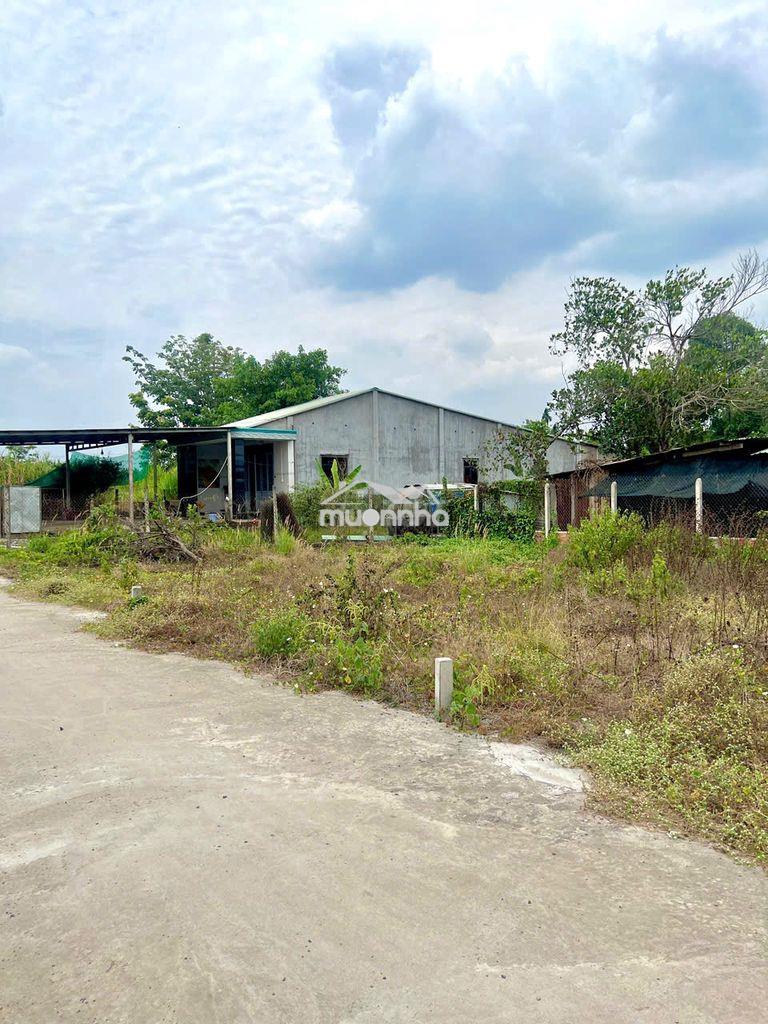 Bán lô đất 1 sẹt ngắn đường gia tân chỉ 600tr - 3