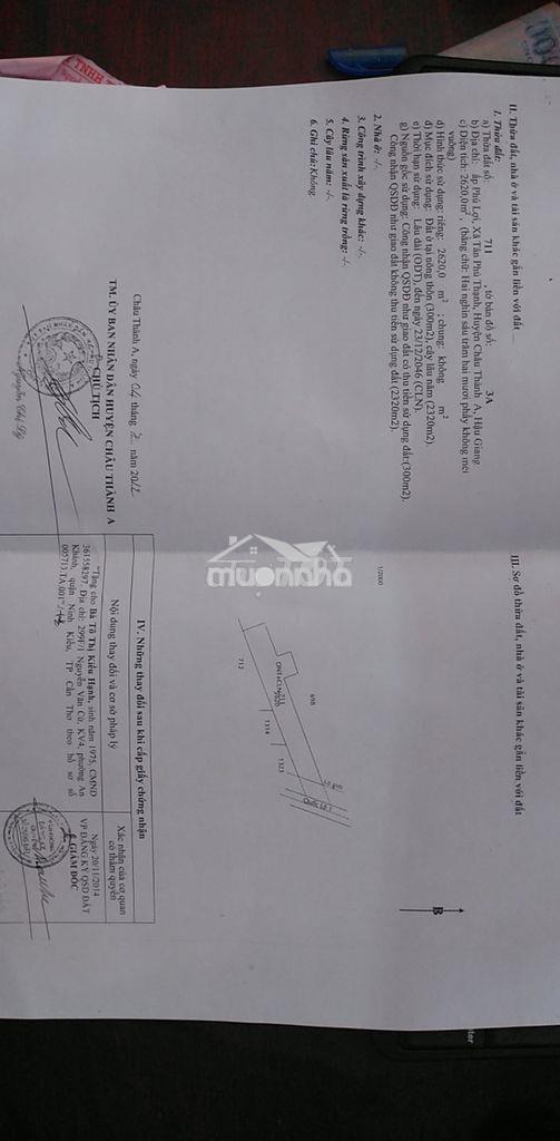 Bán đất mặt tiền gần kcn tân phú thạnh cần thơ, có sẵn nhà xưởng 500m2 - 2