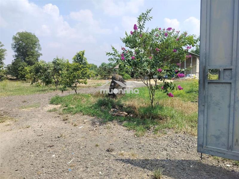 1.500m² nhà vườn đẹp hưng thịnh – trảng bom