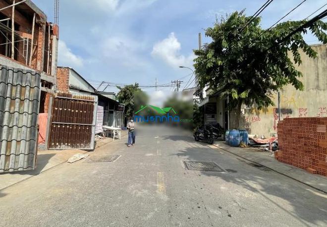 Mặt tiền tiền lân 15 - bà điểm - hóc môn sát ql1a 60m chỉ 3 tỷ - 2