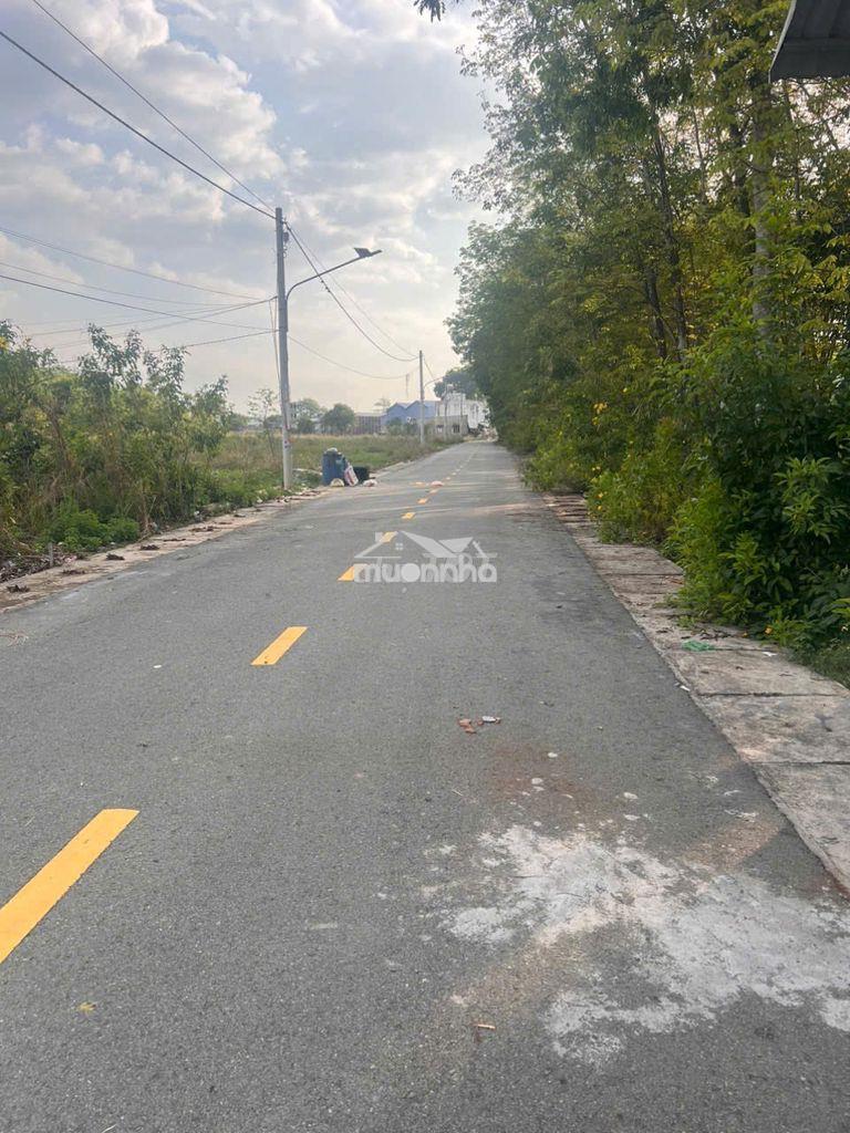 Bán đất mặt tiền đường nhựa 8m gần dt742, thành phố mới bình dương - 3