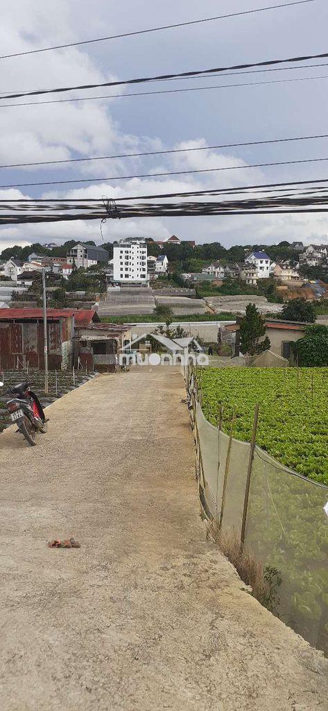 Đà lạt bán 122 m2 đất nn làm nhà ở - 2