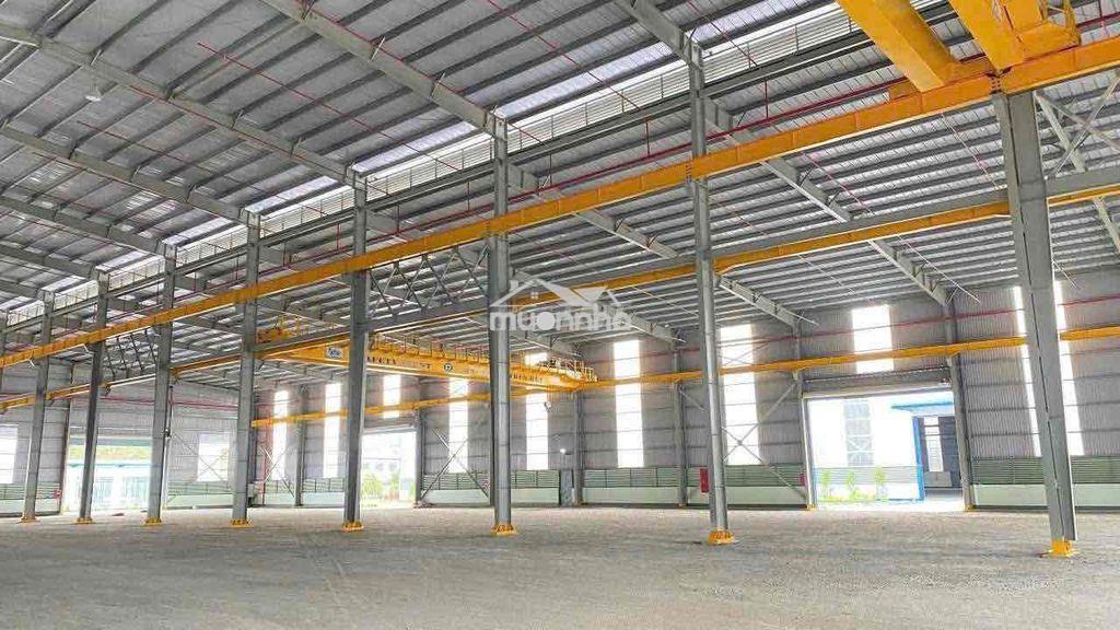 ❇️Cho thuê xưởng 6000m bàu bàng - 2