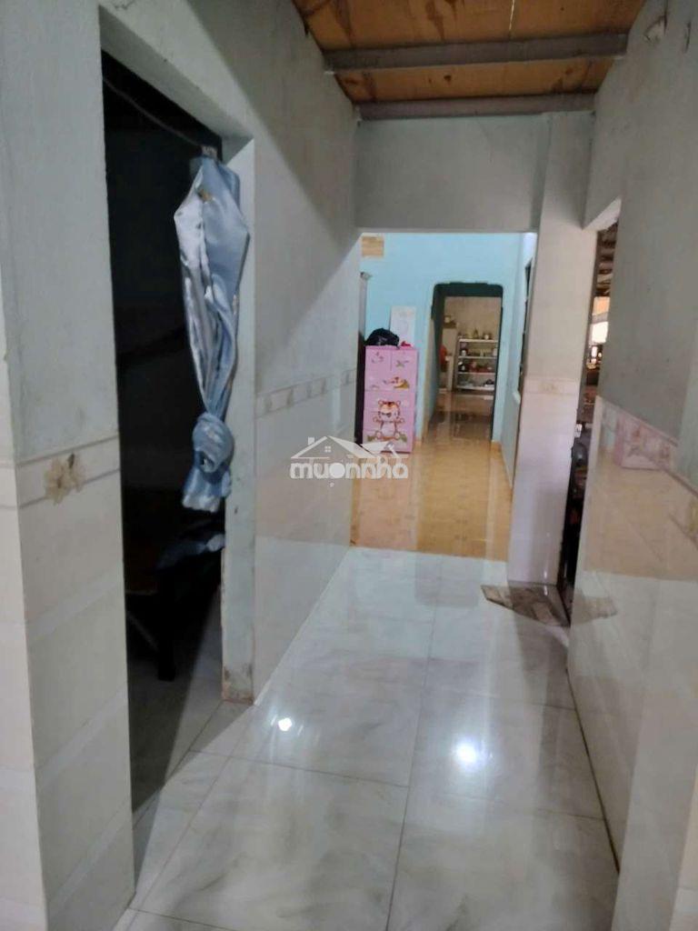 Nhà cấp 4 353m2 khu dân cư đông đúc - 4
