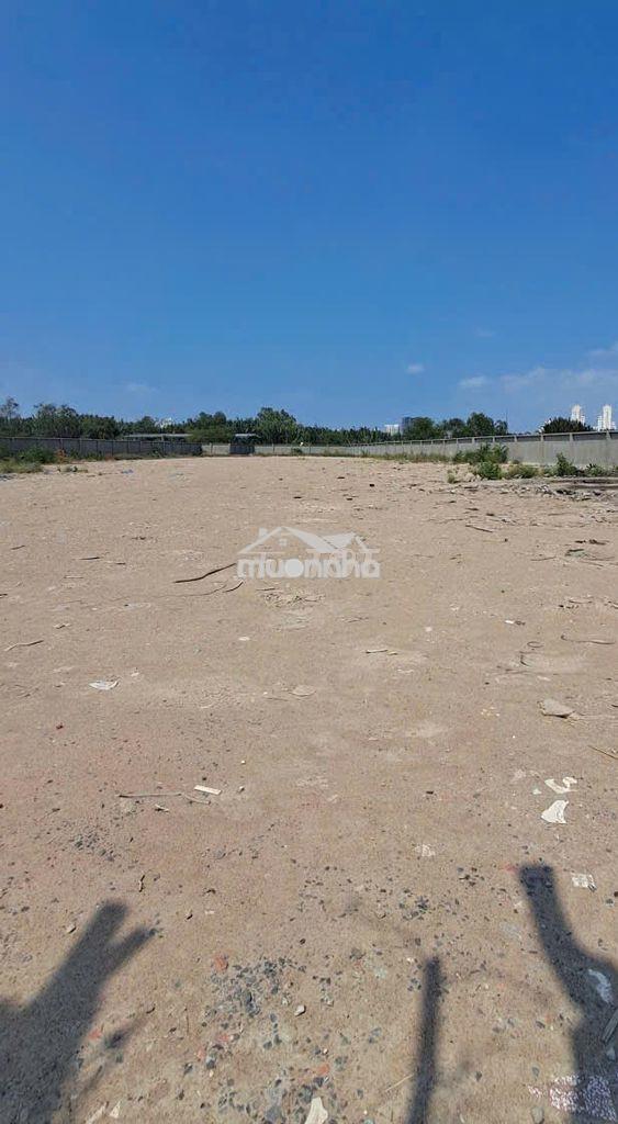 Cho thuê đất nguyễn hữu thọ – 5.500m2 – làm bãi xe, tập kết hàng