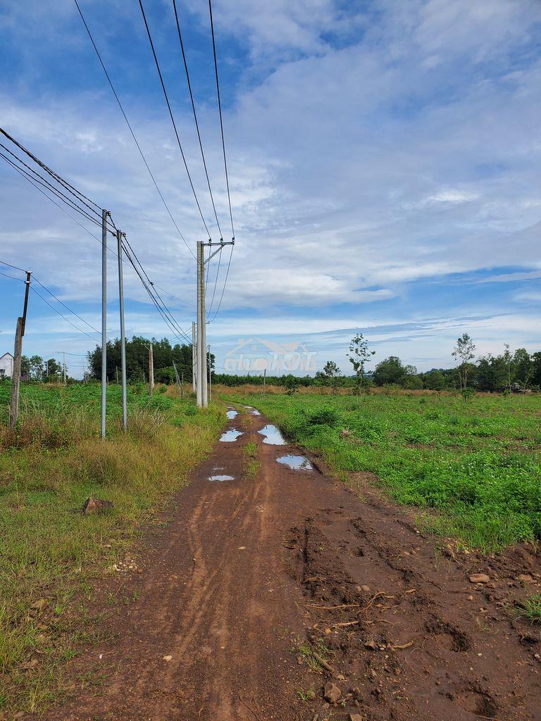 2,85ha đất tại xã xuân thành, huyện xuân lộc, đồng nai - 4