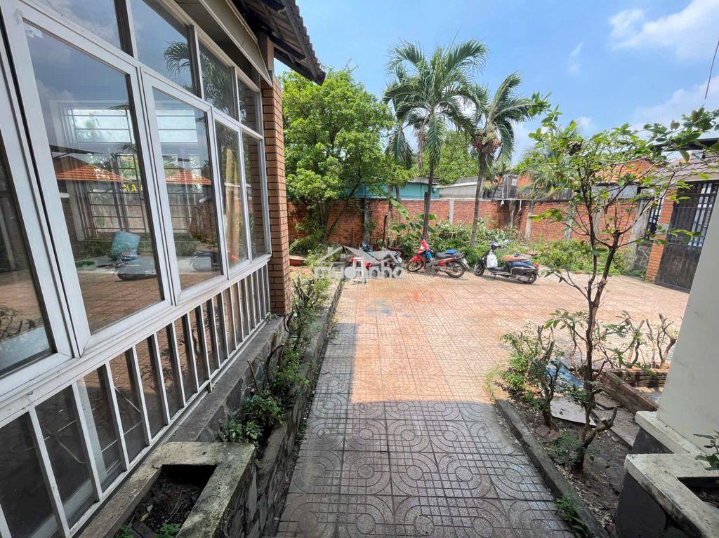 ✅✅Cho thuê nhà sân vườn 350m2  - 2