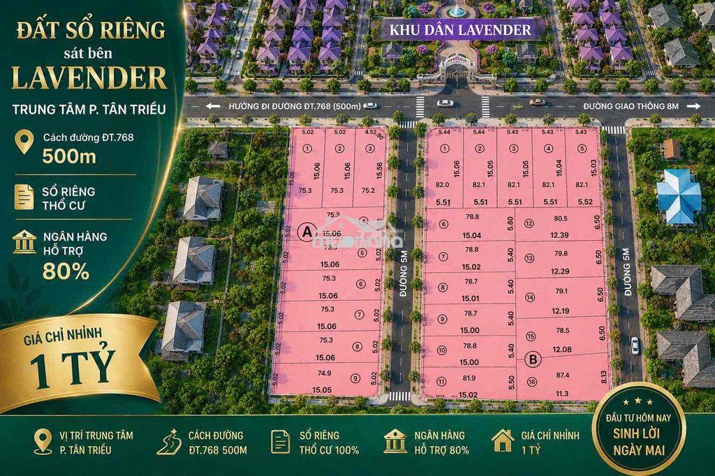 Sỉ 10 lô đất f0 mới ra sổ ngay tại kdc lavender, giá nhỉnh 1 tỷ, 80m2 - 3