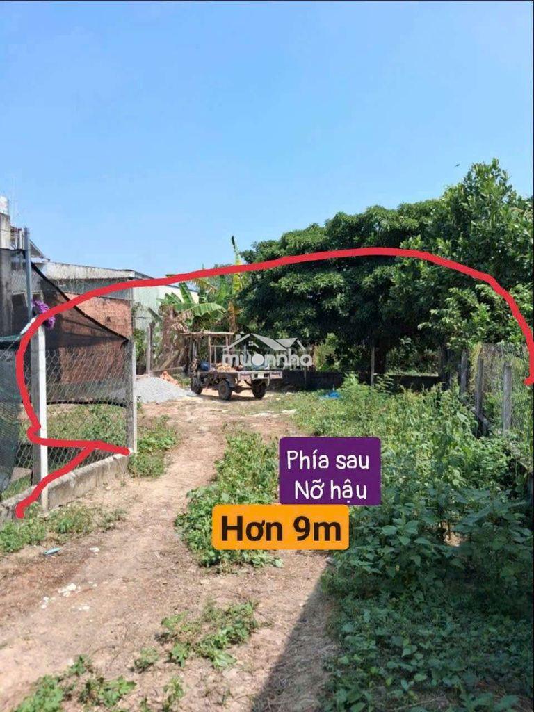 Đất chính chủ 231m, thổ 221m. hậu nở 10m, xã phước vĩnh an - 3