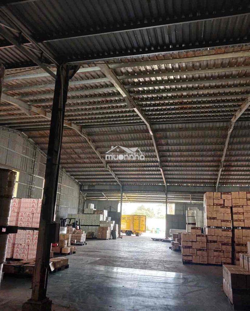 Xưởng tân uyên 3500m/130tr đường lớn có pccc - 4