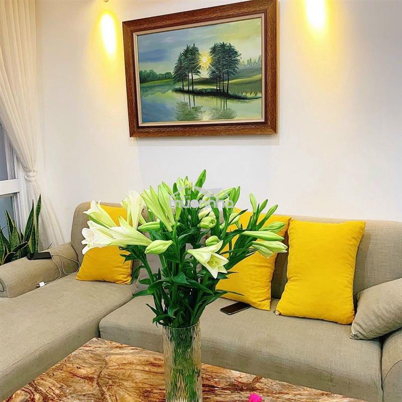Cho thuê căn hộ remax plaza quận 6  ✅ 