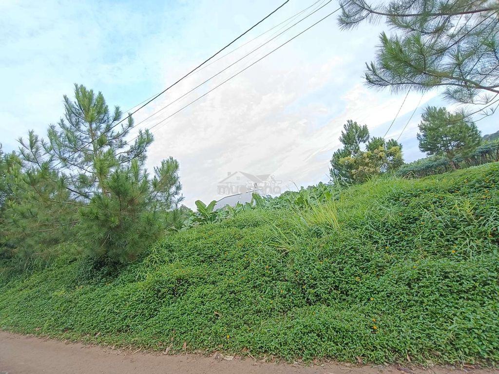 Bán đất gần chợ lộc an - 2