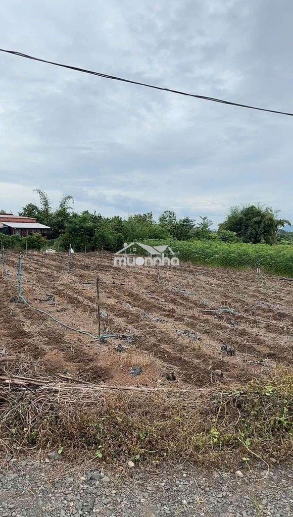 Đất thổ cư, sản phẩm hiếm có, khó tìm. dành cho anh chị tài chính thấp - 2