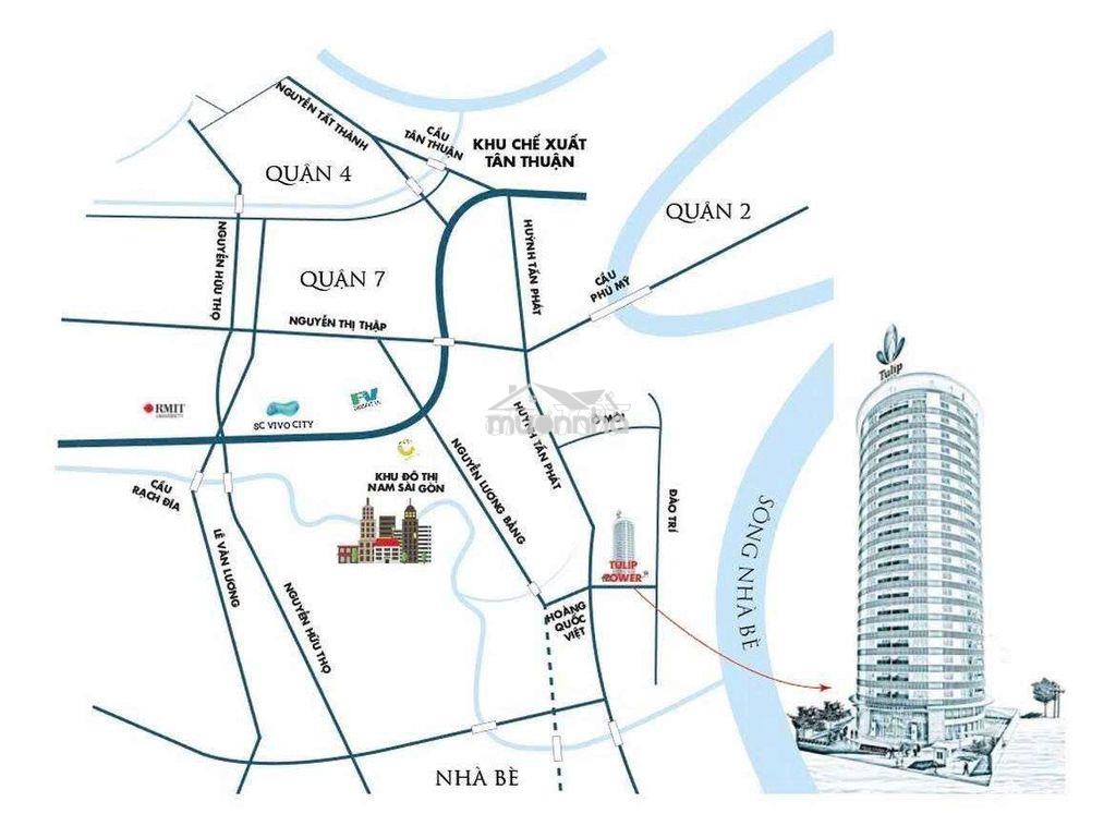 Chính chủ bán căn hộ tulip tower quận 7_ tháng 8 làm sổ hồng - 2