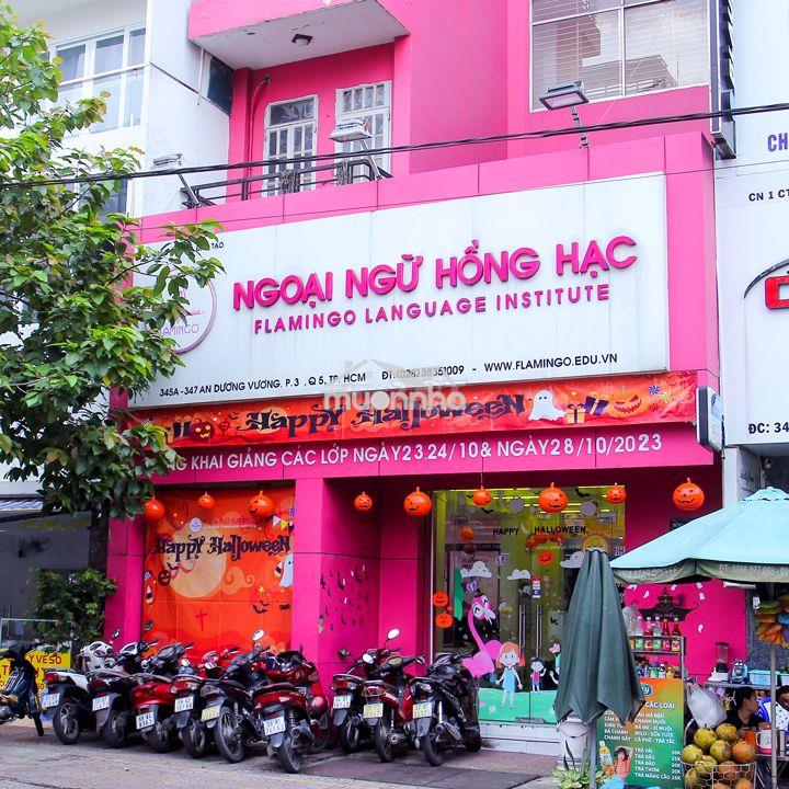 Tòa nhà 10m an dương vương quận 5,  ngay đại học sư phạm - 4