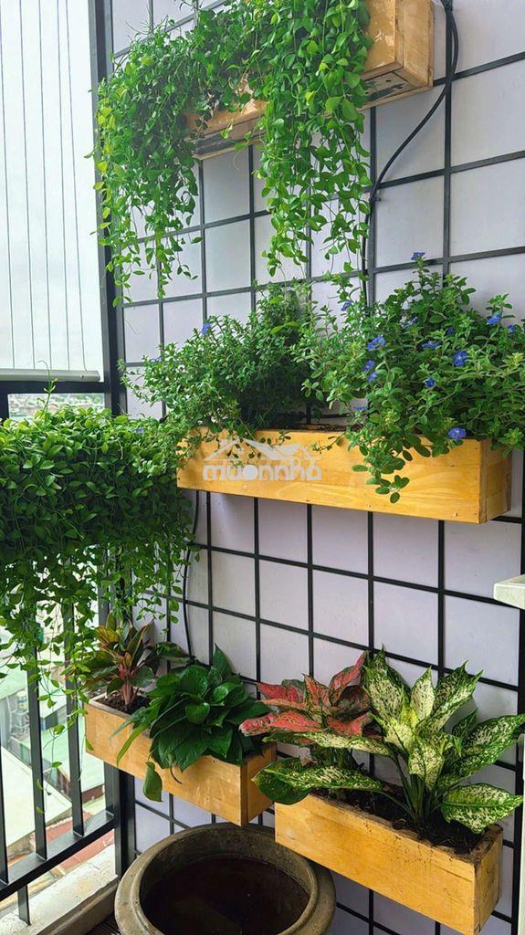 Chính chủ gửi giá chỉ nhỉnh 4 tỉ chung vư gia phát - 4