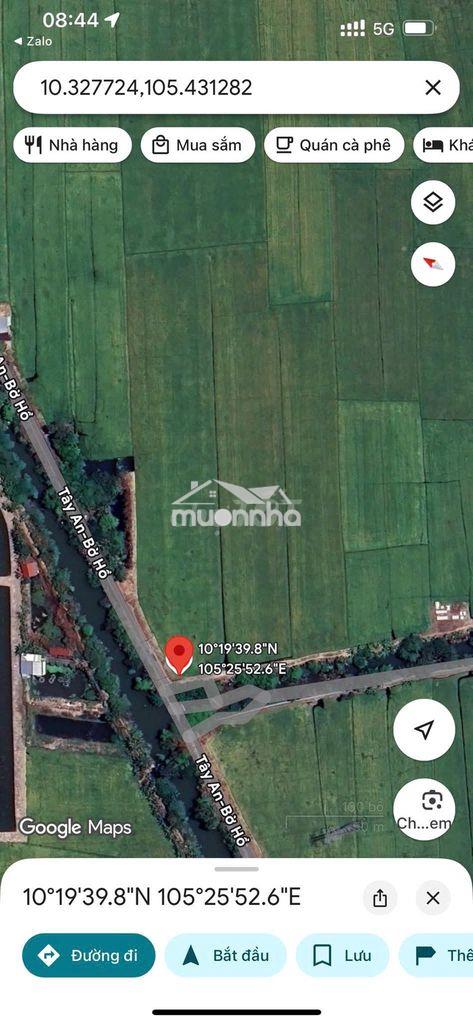 Bán đất nông nghiệp 18.177 m2 (1,8 ha) tại phường mỹ thới, an giang - 3