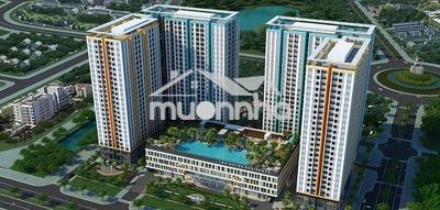 Chủ kẹt tiền cần bán gấp căn 2pn lexington giá 5,6 tỷ,