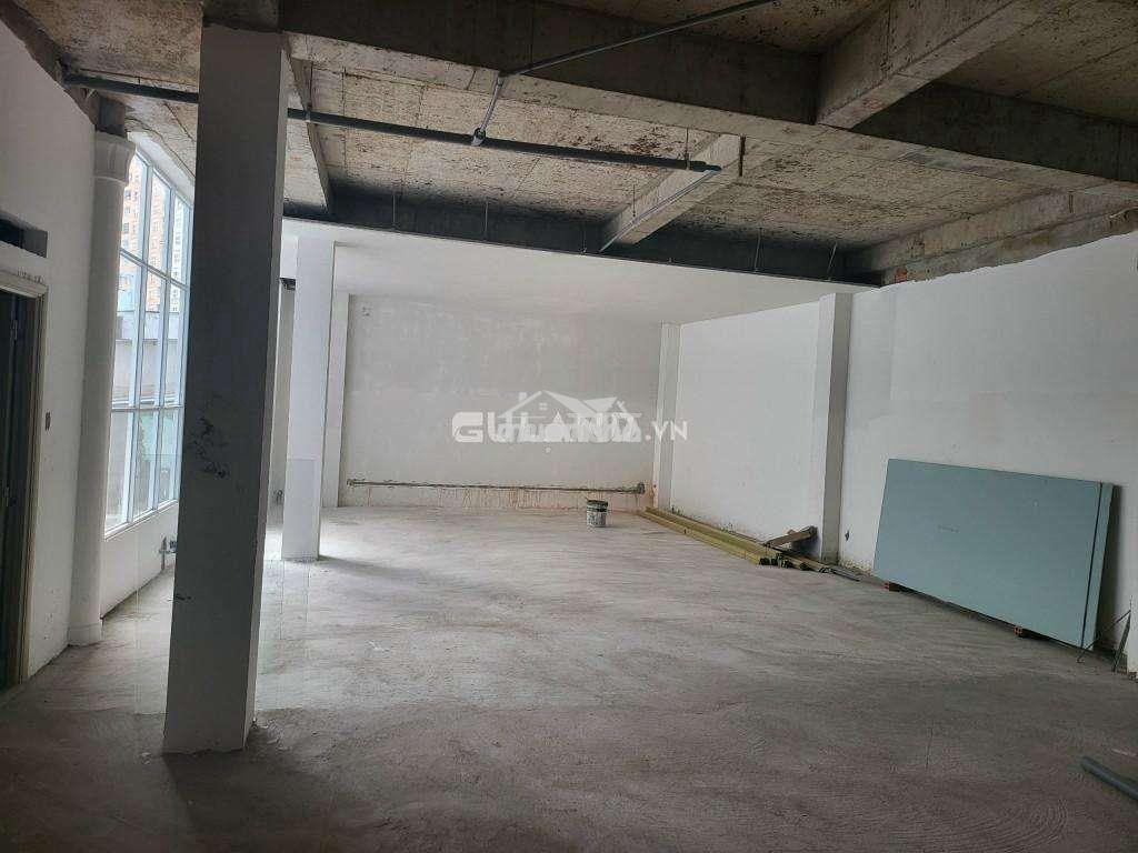 Cho thuê nhà nguyên căn đường hồng lạc - 2