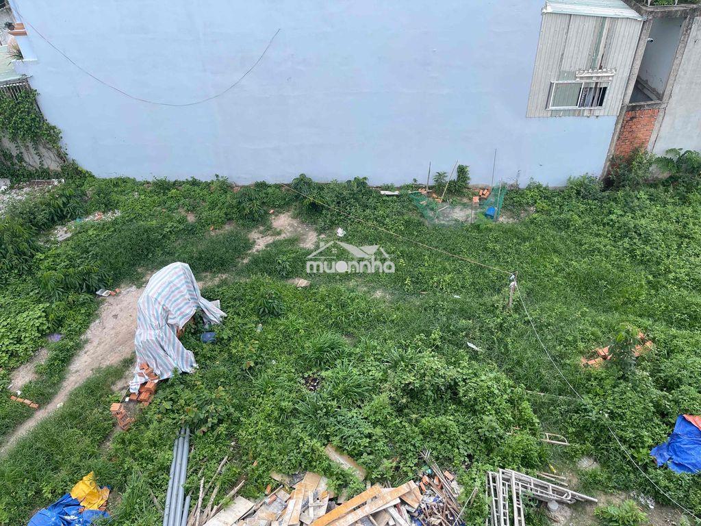 Cho thuê dài hạn đất dt 300-1500m - 4