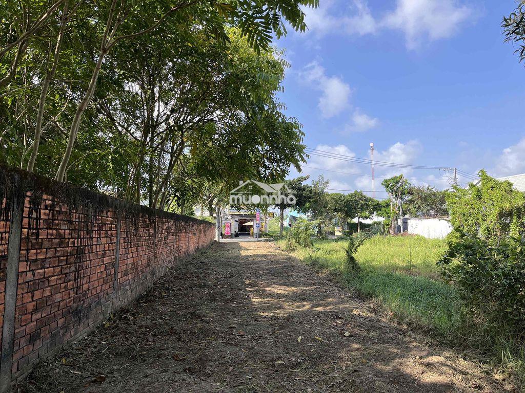 Đất nền mặt tiền - đường nguyễn huệ, phường phú lợi - 3