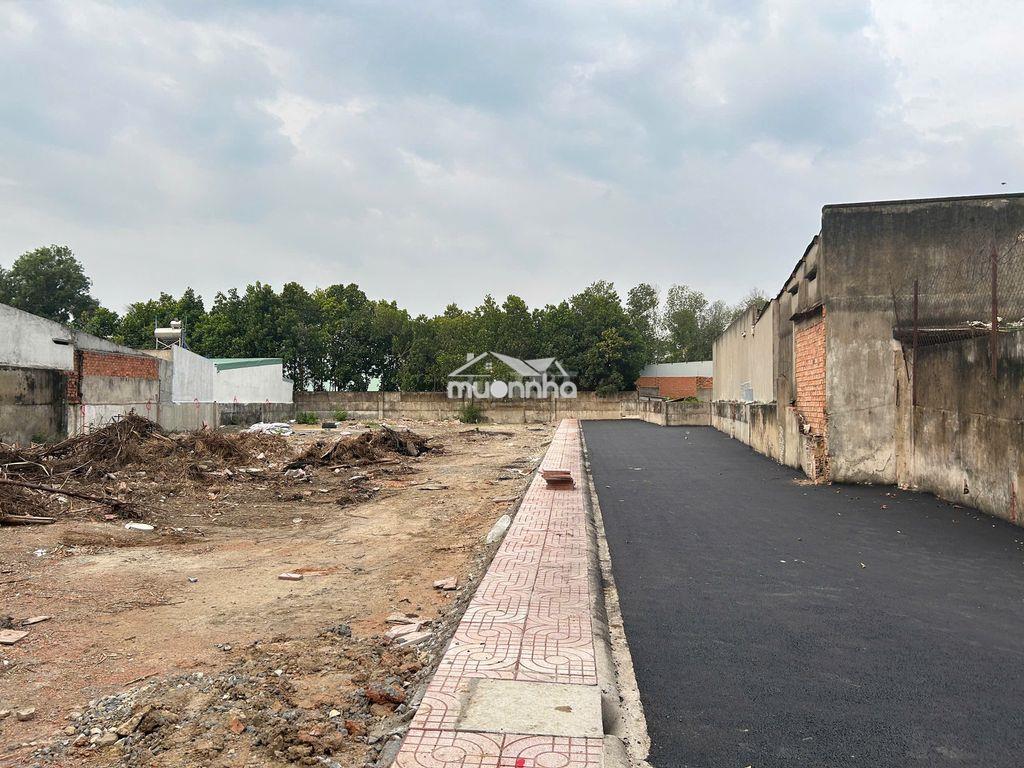 Đất giá rẻ hẻm nguyễn ái quốc, ngay chợ tân phong, cv dương tử giang - 3