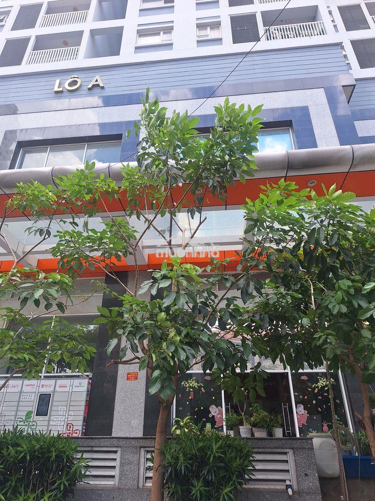 NHÀ CHUNG CƯ QUẬN 10 GẦN TRUNG TÂM - 2