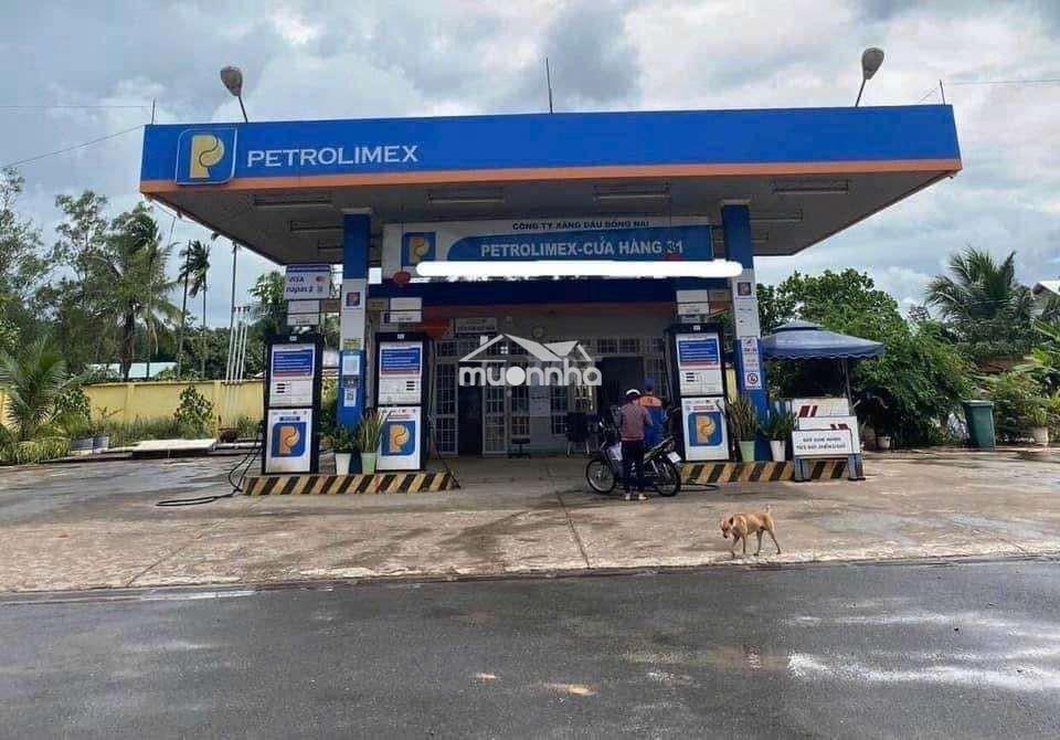 Đất tôi bán chính chủ giá ngộp do kẹt tiền ,cần liên hệ tôi - 3