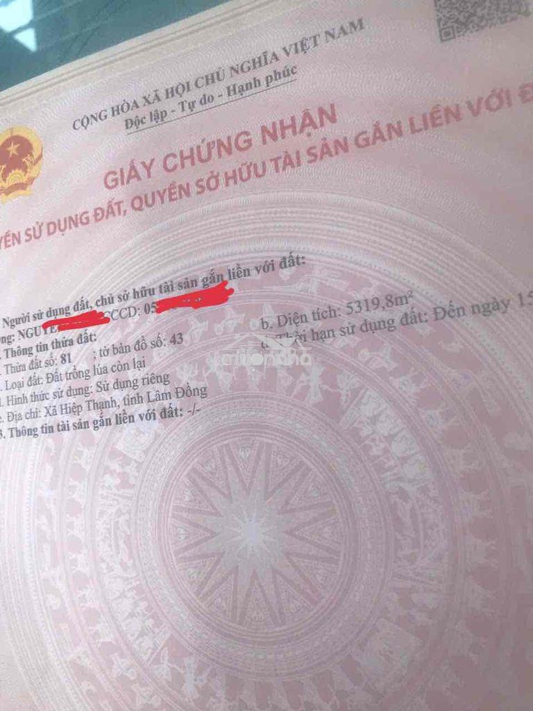 Cần bán hơn 1 hecta đất nông nghiệp gần dalat hasfarm giá 14.7 tỷ