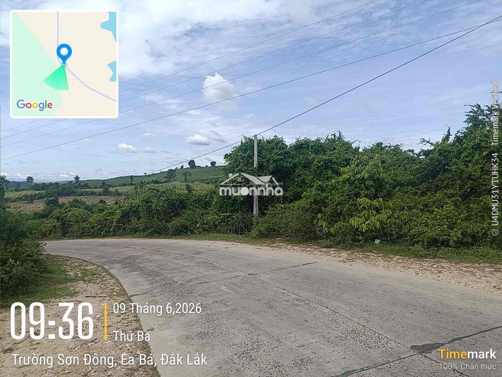 Lô góc 2 mặt tiền / dt 7854m2 giá 1.3tỷ - 4