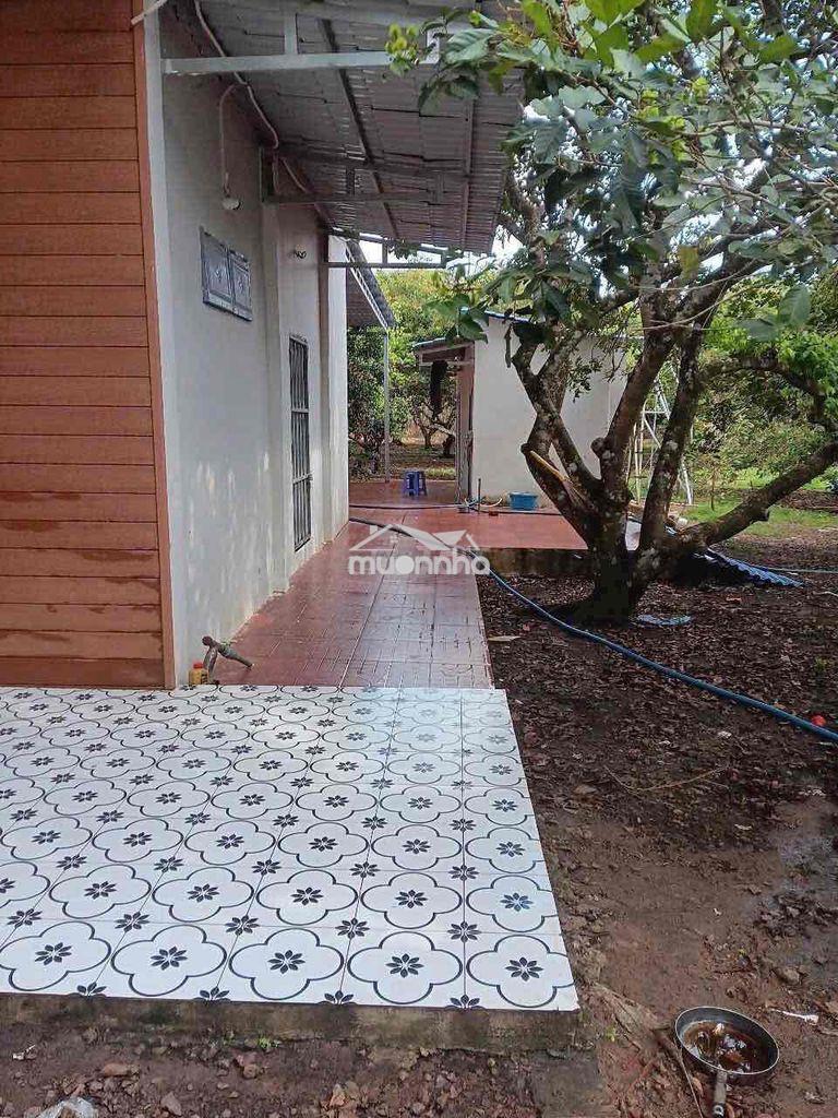 Biệt thự nghĩ dưỡng gần sân bay long thành - 3